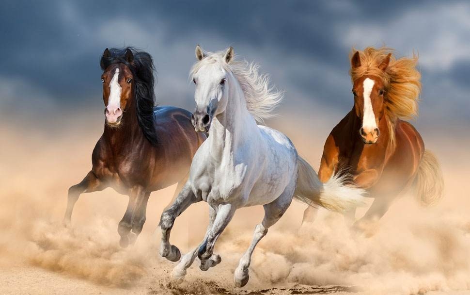 10篇写高三高考的优秀作文：有备战经历、写作方法，可治愈心灵