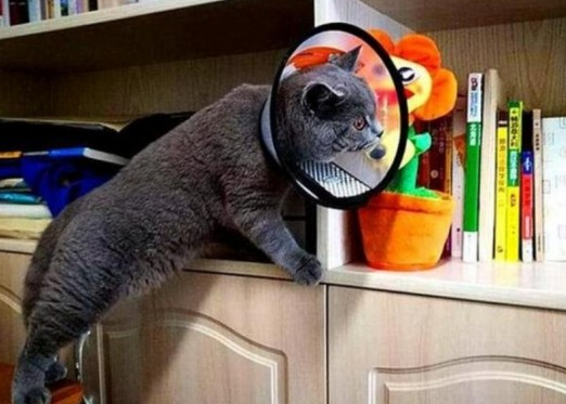 大学宿舍“违禁品”合集，女生寝室品类齐全，男生寝室在意料之内