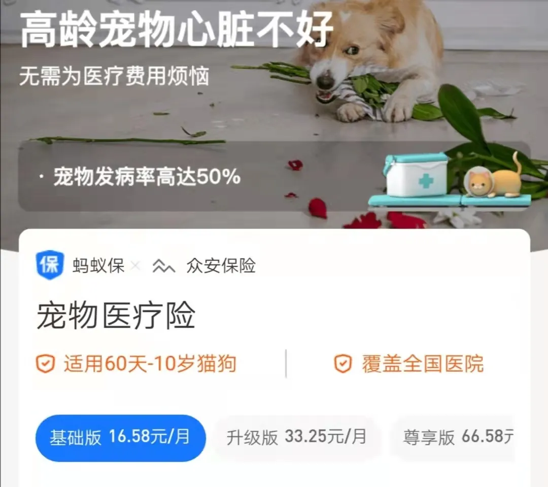 京东掘金千亿“宠物”赛道,宠物医疗卡是噱头还是真香?