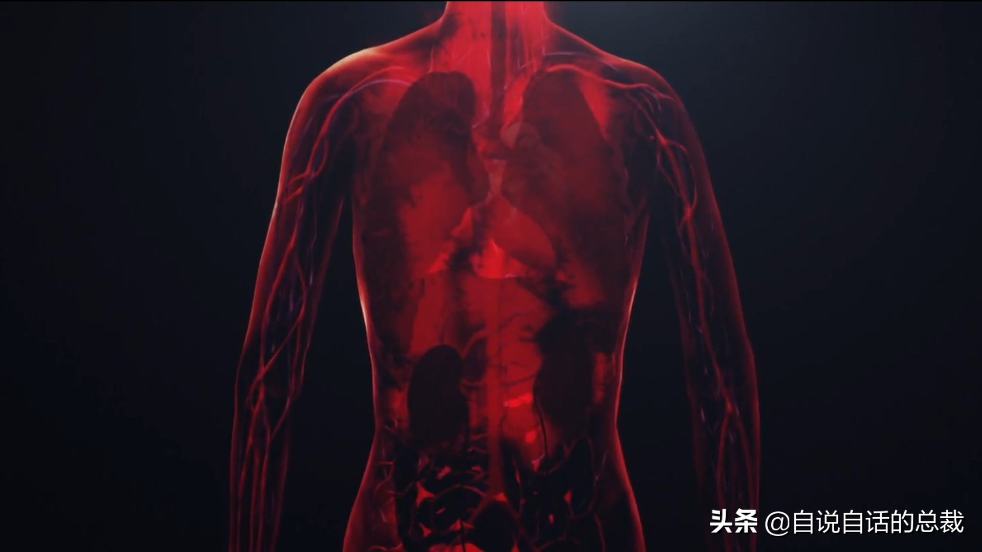 埃博拉：人类的诅咒，你的身体如何对抗它，它到底有多恐怖
