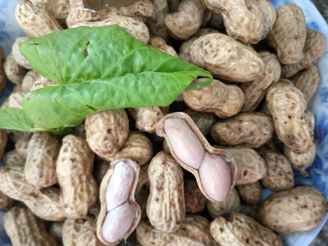 鹽水花生的做法鹽炒花生米怎麼炒