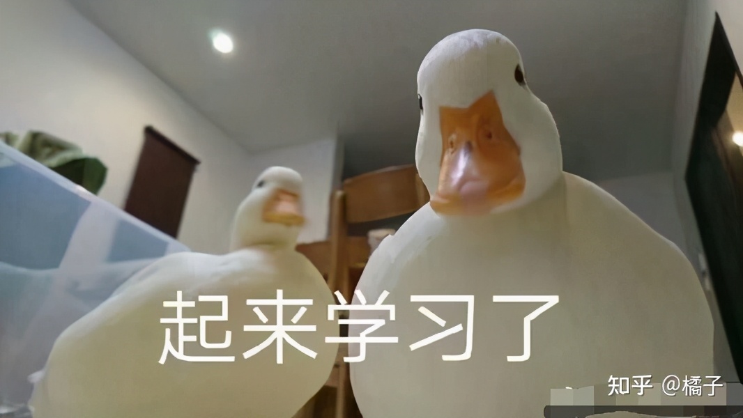 no1.纯干货分享——华南师范大学心理学专硕347考研️