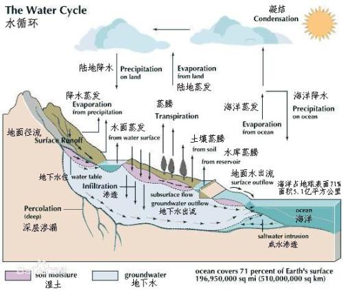 世界上最深的海沟位于(世界上最深的海沟每年“吞掉”3亿吨海水，为何海平面没有下降？)