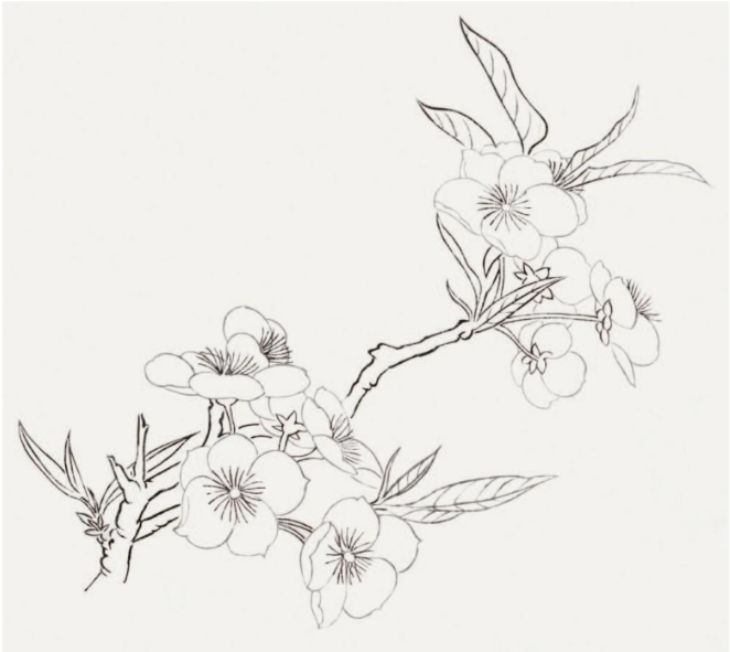 工笔桃花丁香花的染色步骤