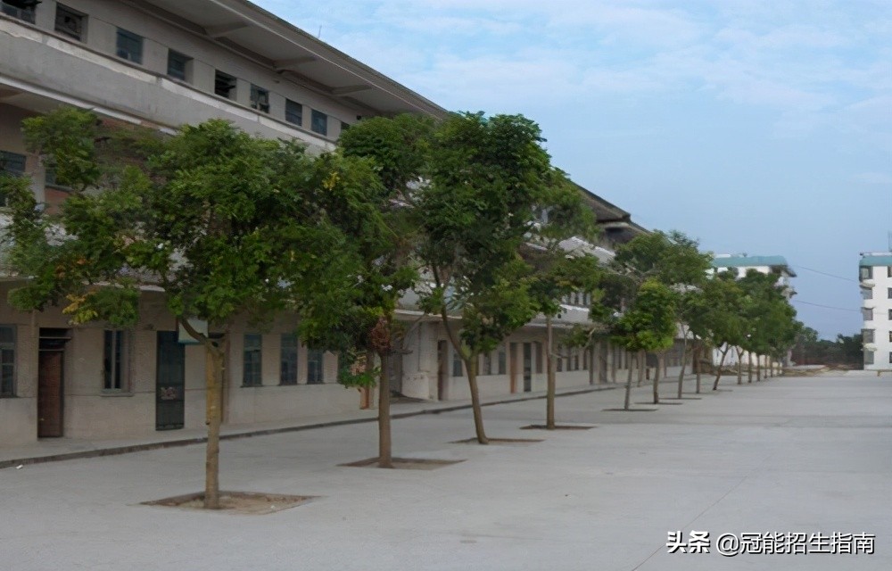 初中毕业后读哪些学校（初中毕业可以不读高中吗）