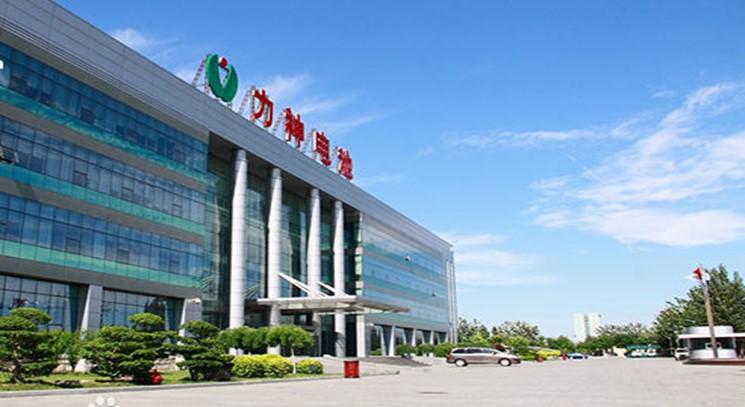 特斯拉与力神签订初步协议，意在摆脱松下？为什么不选宁德时代？