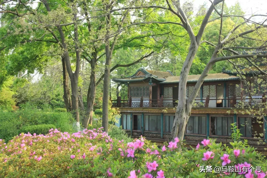 马鞍山人，别忘了动物园！这里曾是我们的全部！