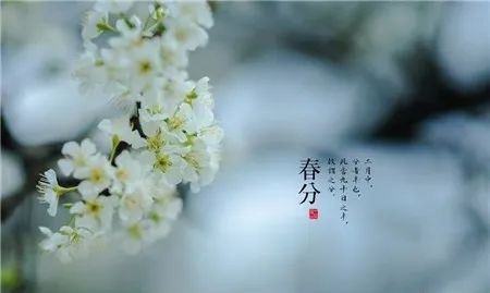 春分∣春去春来春已半，韶华倾负倒春寒