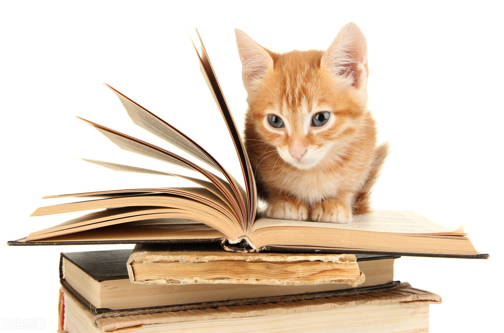 做小红书，如何深入分析竞争对手？