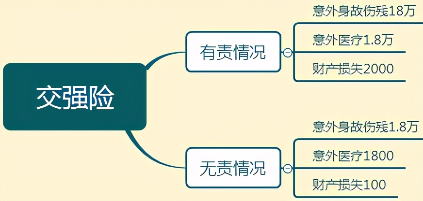 车险一般买哪几种？开车十年老司机认为这四种必买
