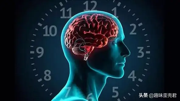 人的生物钟周期表（人类生物钟规律的作息指南）