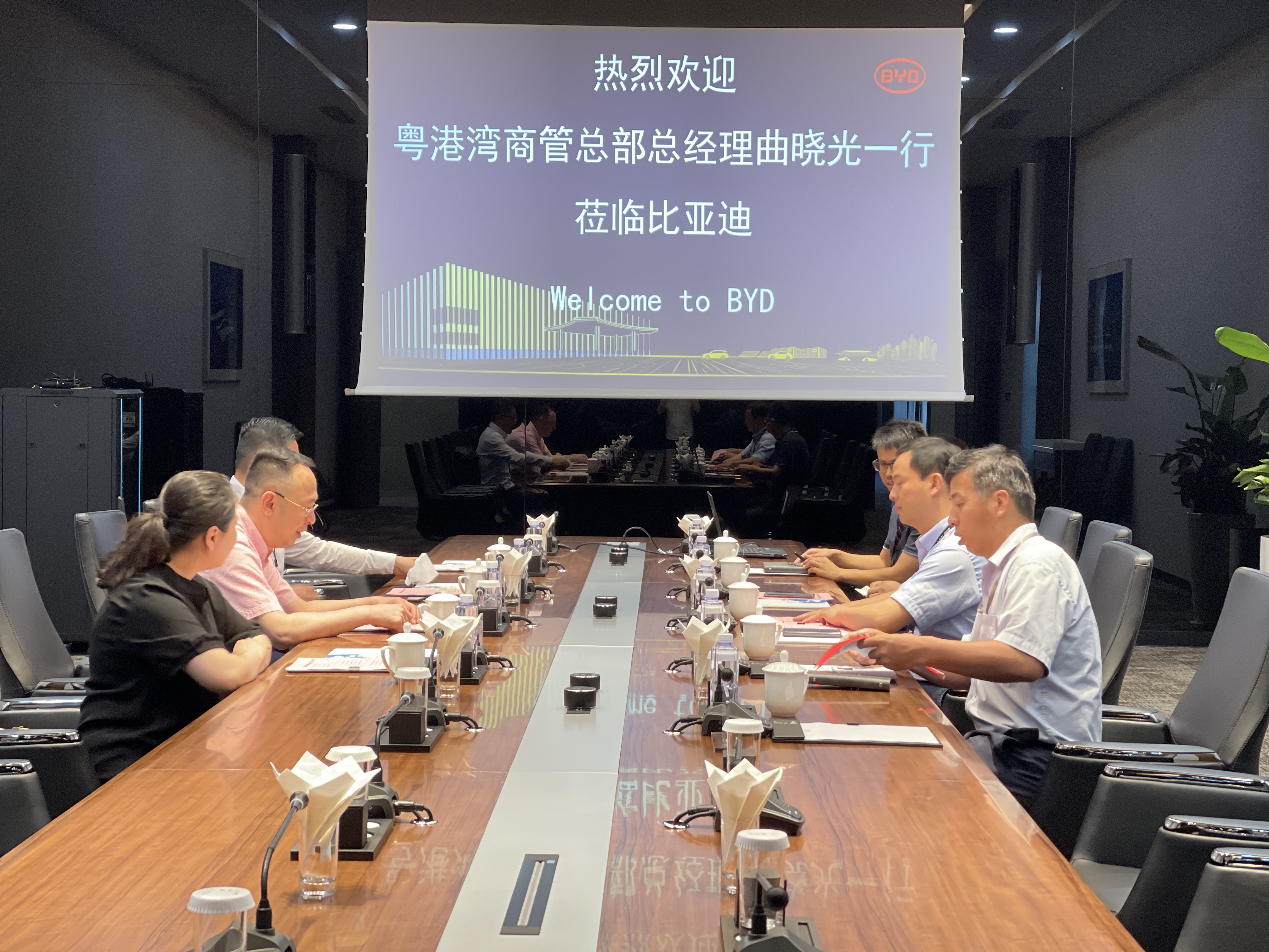 商务访问,商务访问是什么