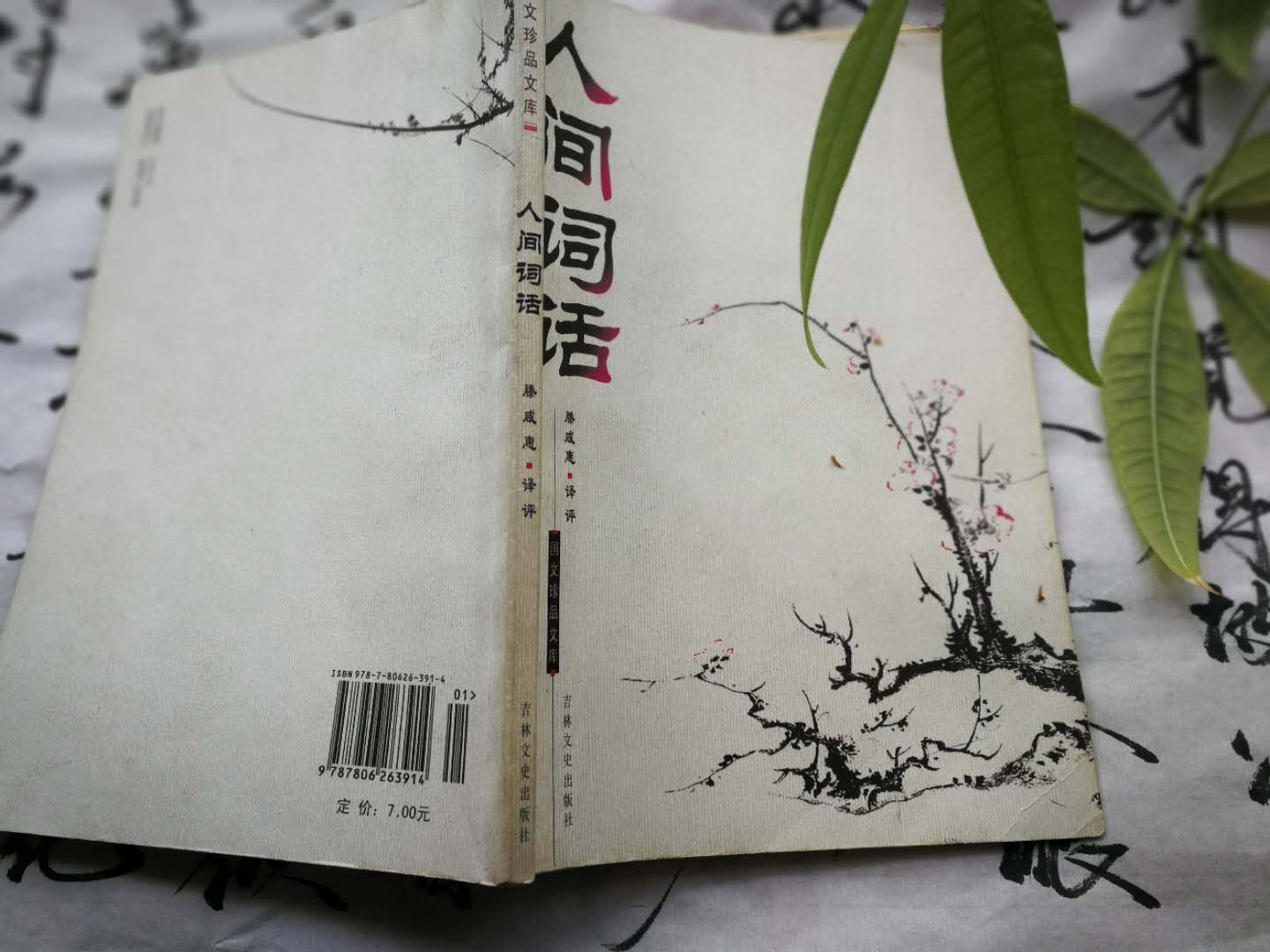 嵯峨读音及王国维《人间词话》难懂之处解析