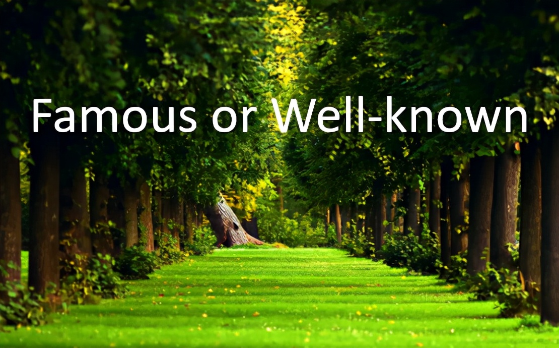 Famous and Well-Known: How to Say Mathematics in English