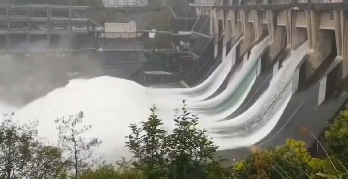 洪水冲击，千岛湖鱼“飞上天”，不乏几十斤大鱼，下游捡鱼欢