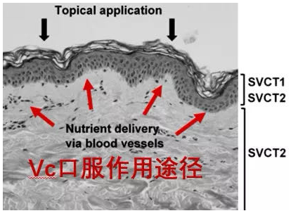 皮肤黑怎么变白？6大套路骚操作，都是满满的智商税