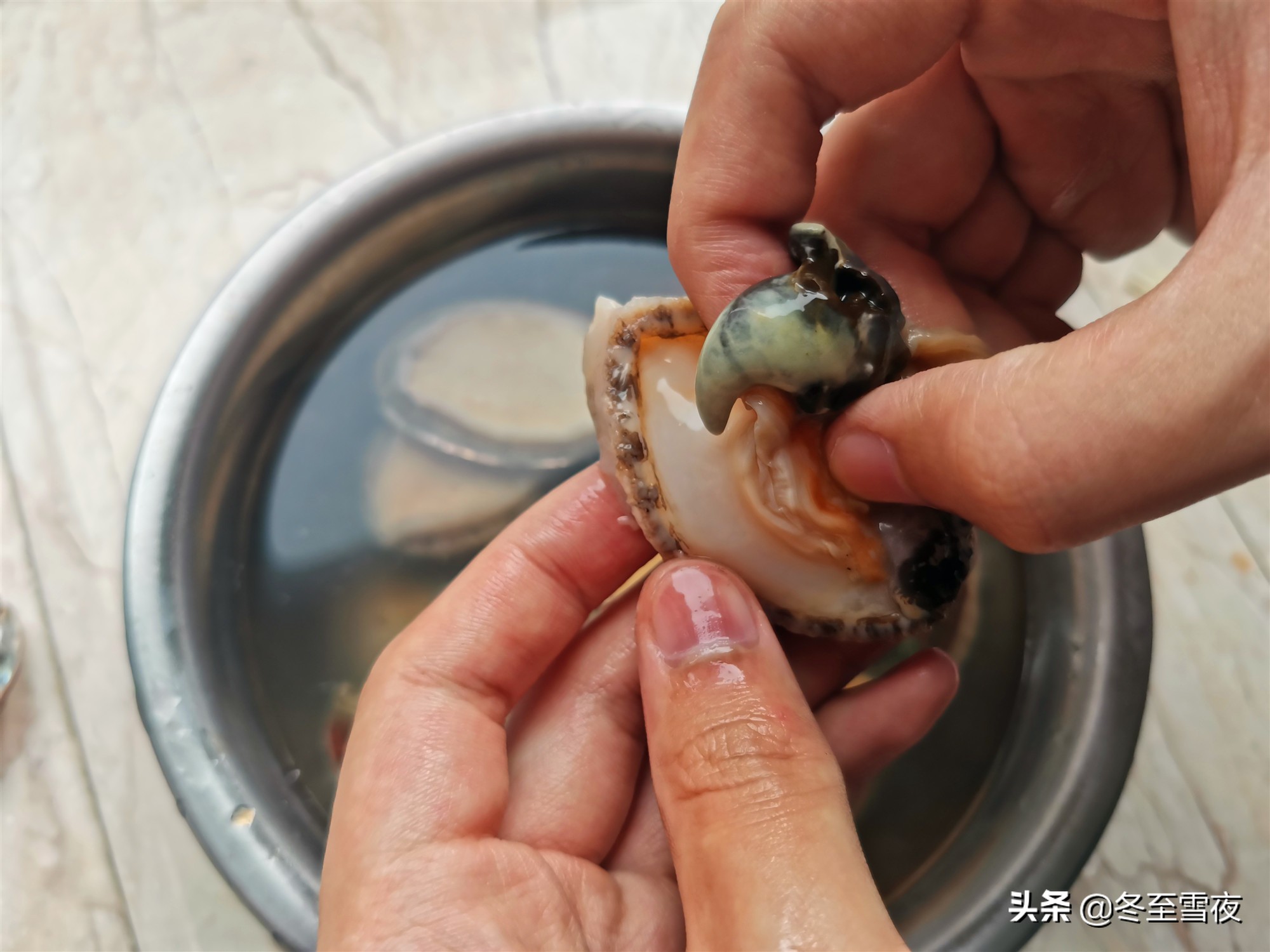 鮑魚的做法及清洗,鮑魚的做法及清洗視頻