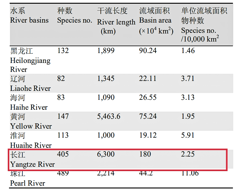 潜伏20多年！红尾鲶侵入珠江，能长1米多，长江还“安全”吗？
