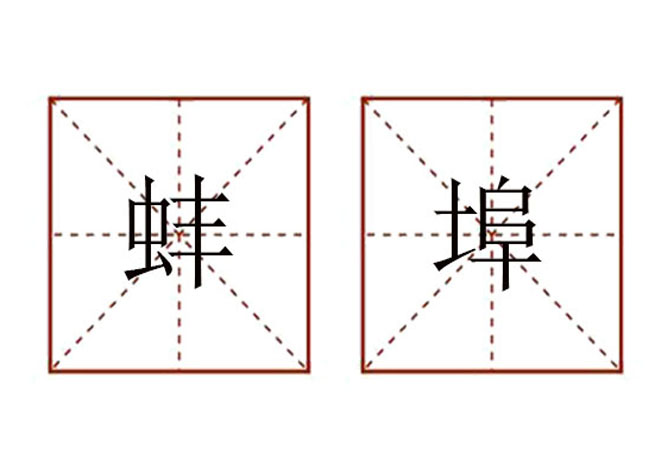 “蚌 埠”怎么读？