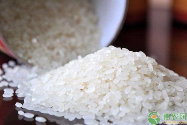 现在大米批发价格多少钱一斤？2020年大米市场价格行情预测