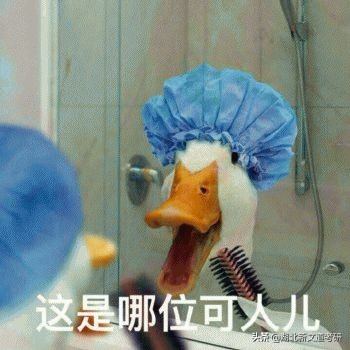 这几所学校改名超成功，网友：专科逆袭成一本，三本秒变985