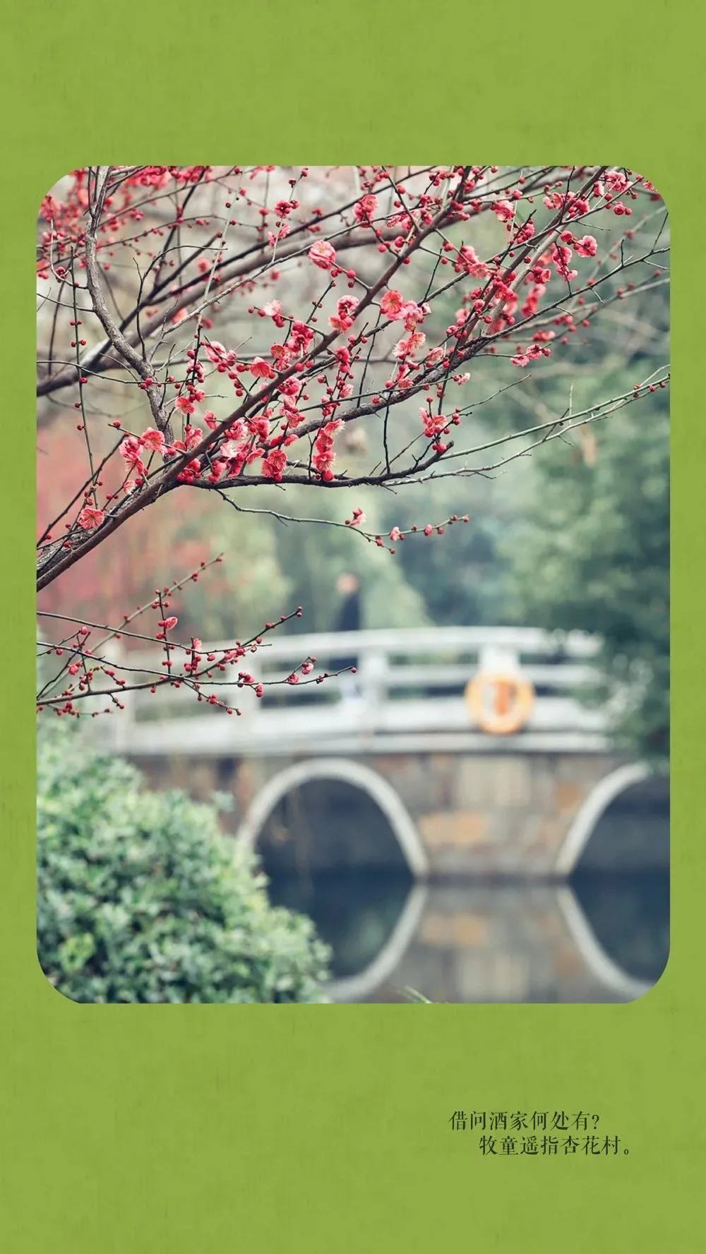 中国这10所大学壁纸第二期！厦门大学、中山大学等在列