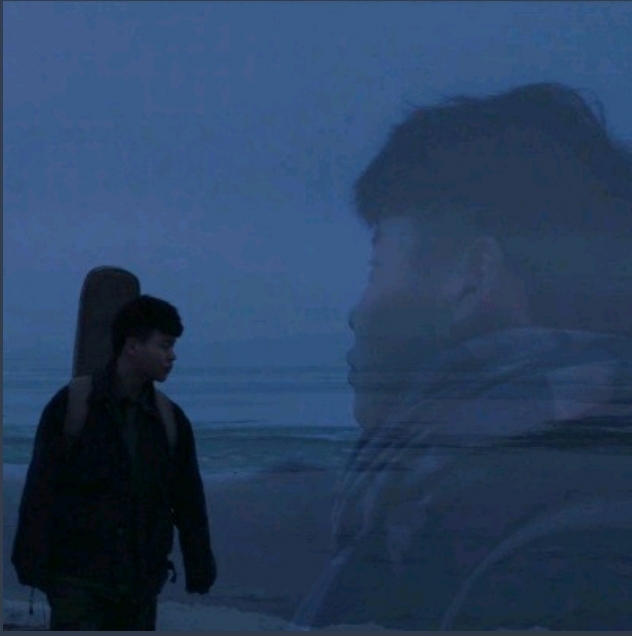 枯木逢春时，生机悄然绽放
