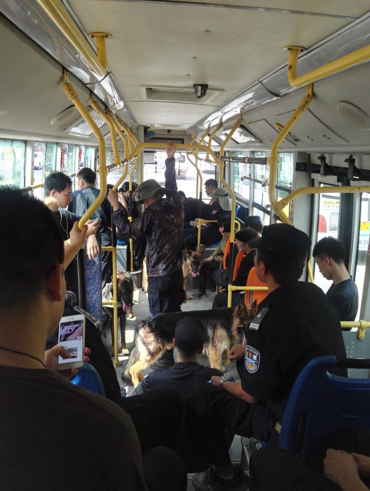 大学奇葩专业大汇总！母猪的产后护理简直弱爆了