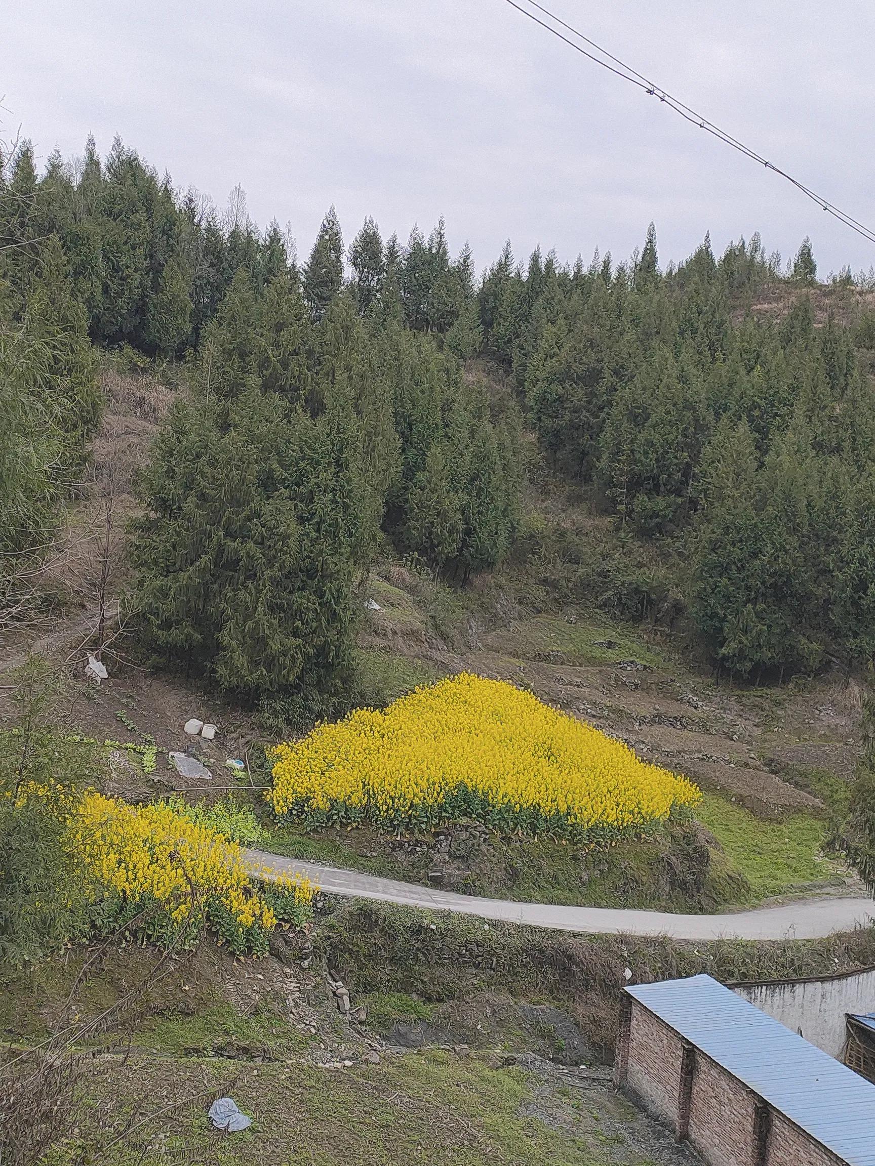 你有过一场和春天的约会吗？三月过半了，一起去抓住春天的尾巴吧