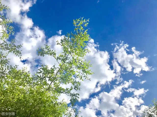 自己的心房要不断的净化，让心归零，悠闲自得