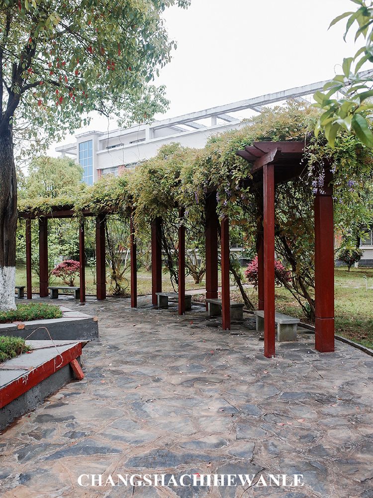 你好，湖南中医药大学！