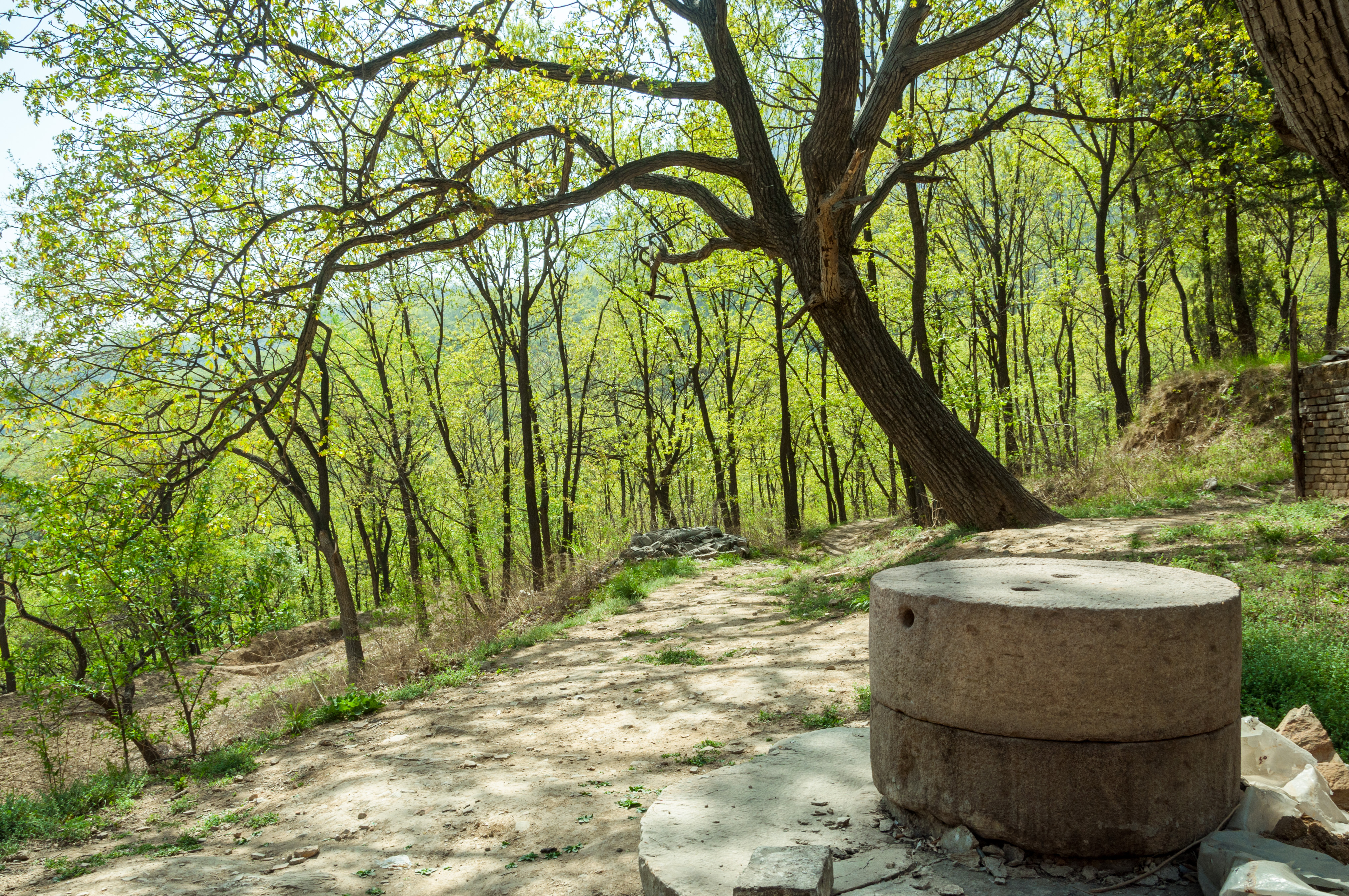 元好问在嵩山时的诗文交游