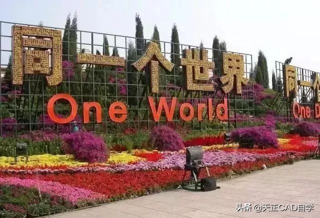 园林景观花坛设计技巧总结,看完涨知识了