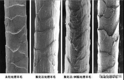 秋冬毛衣/羊毛/羊绒衫起球、扎人怎么办？最全清洗保养护理大全