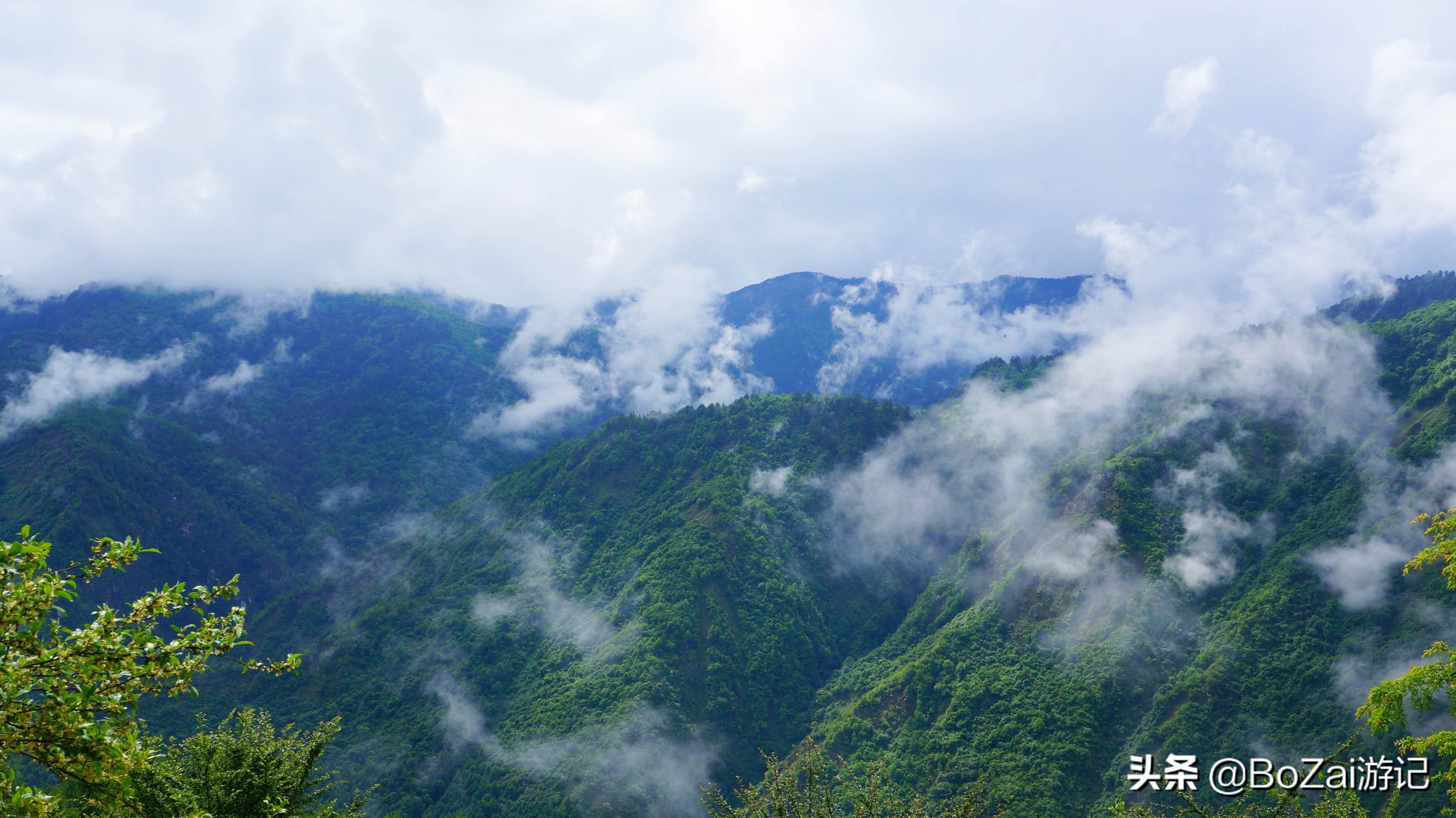 到四川阿坝旅游不能错过的19个景点，你去过几个？最爱哪个景点