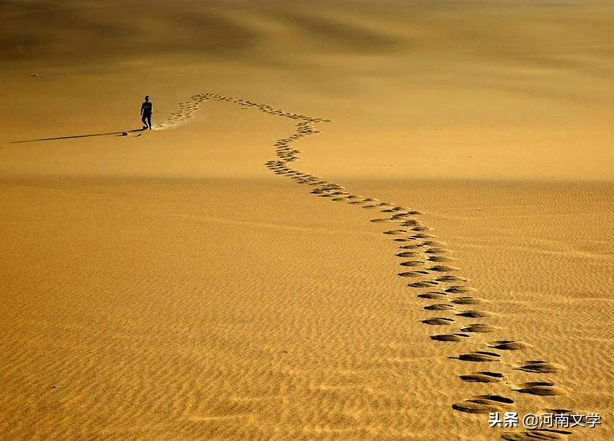 尹栋：人生如鱼（散文）