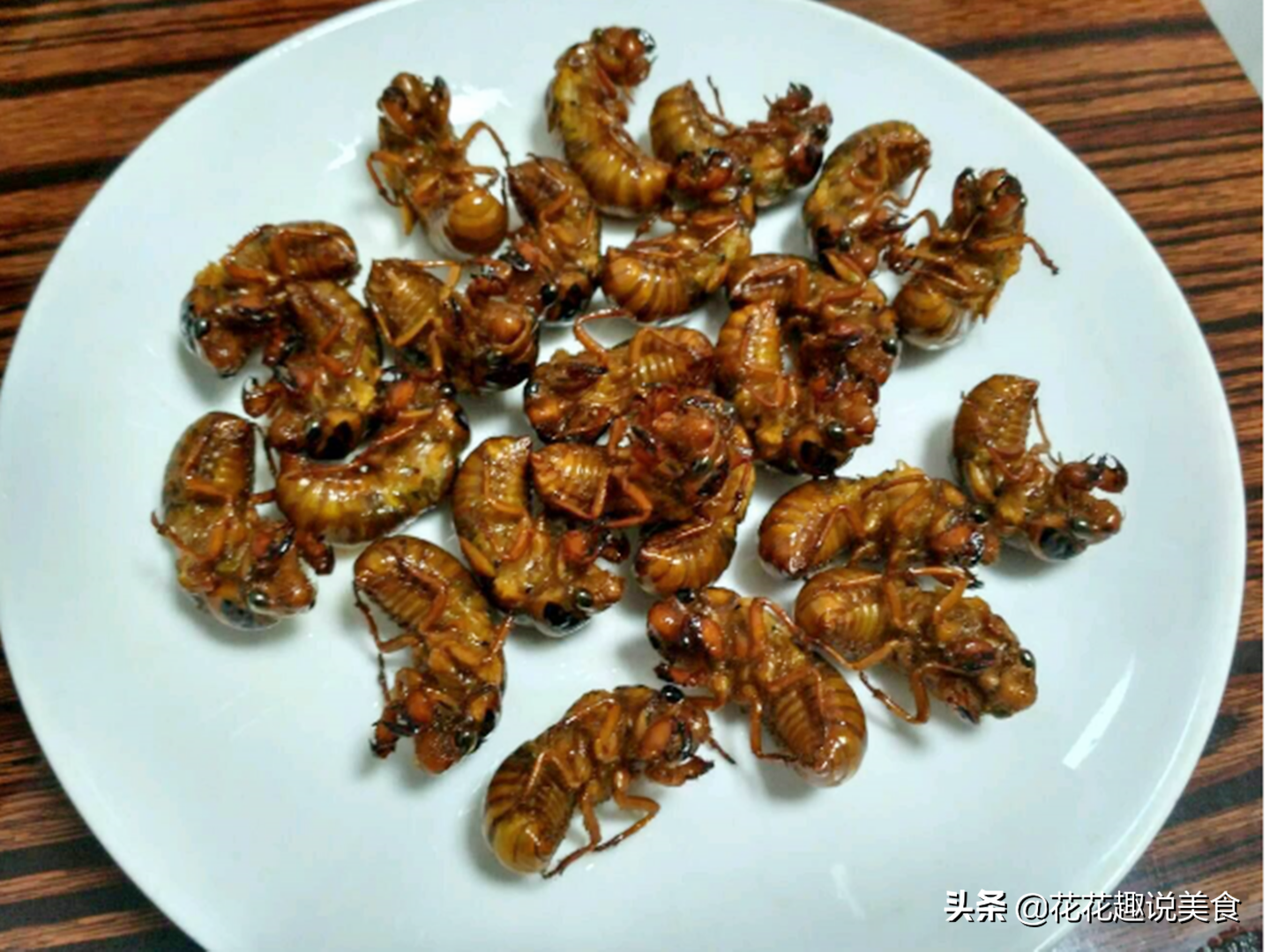 知了的营养价值夏天别错过吃蝉蛋白质含量是牛肉的4倍