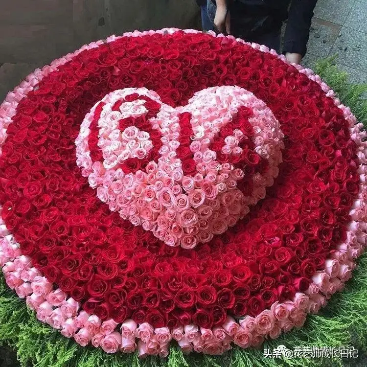 玫瑰数量的含义是什么（玫瑰花数量代表的意义）