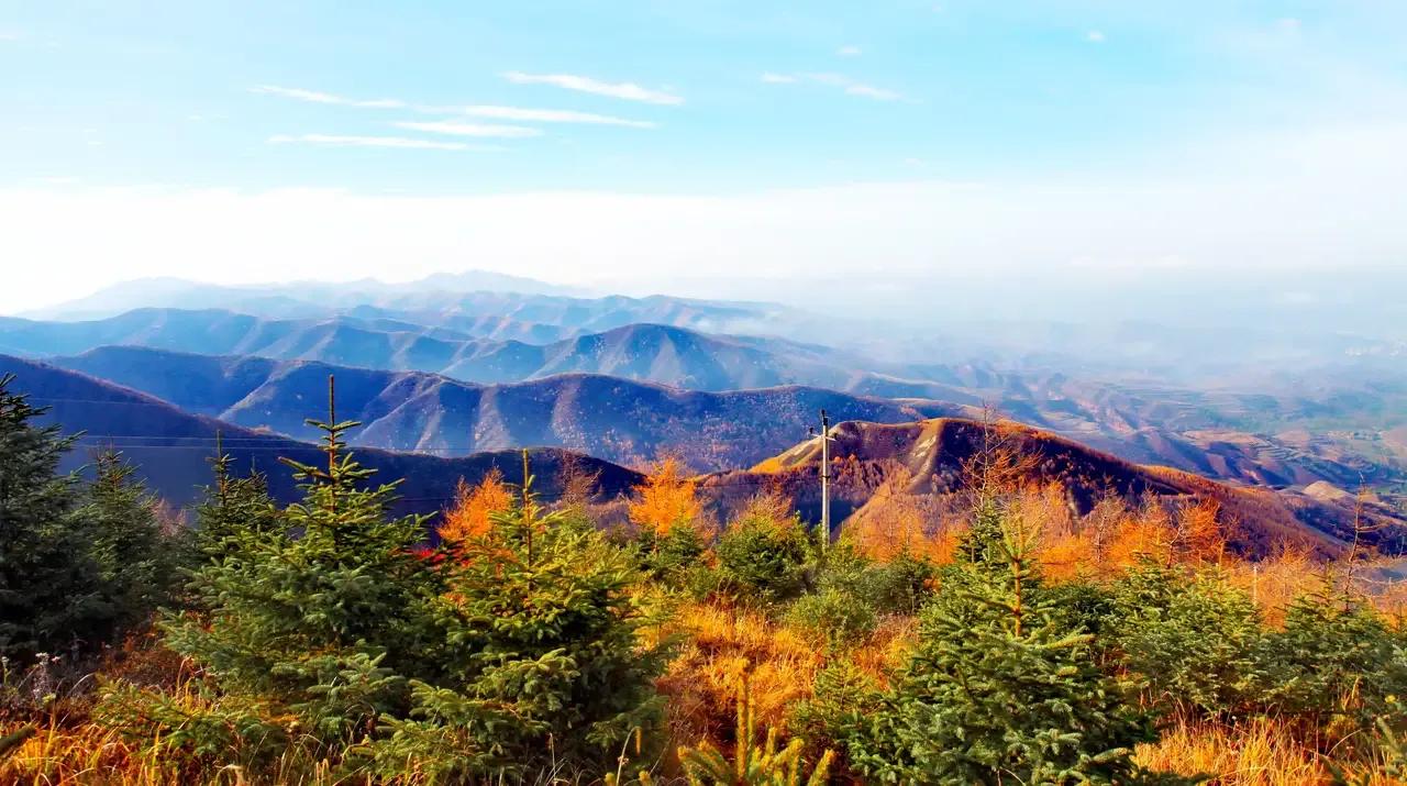 秋游六盘山（散文）