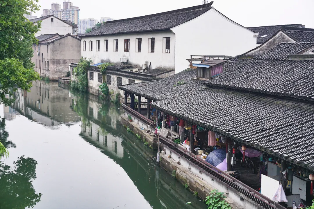 绍兴面积多少平方公里(绍兴这5条老街) - 青木春