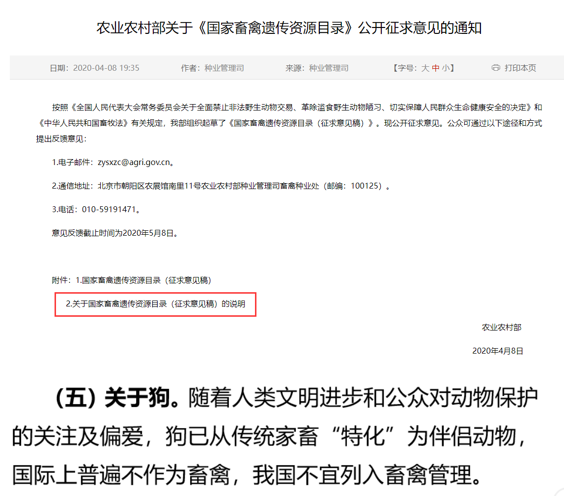 10秒闷倒一条狗，偷狗贼有多残忍？“毒狗”的暴利后面藏何危机？