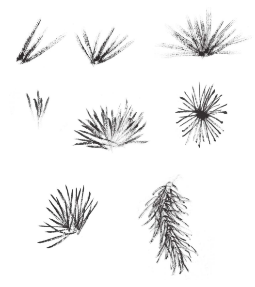 73问松针的基本组合形状有哪些