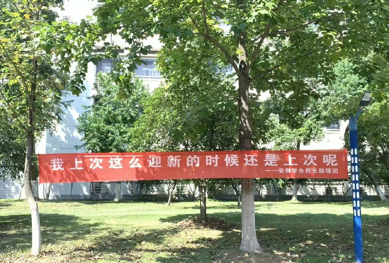 又是一年开学季，安徽财经大学迎新标语走红，网友笑出“鹅叫”