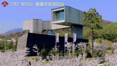 美了1500年，这里的古银杏即将迎来颜值巅峰