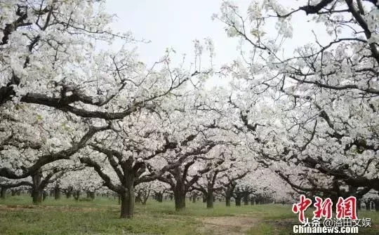 中国十句治家名言，传承千古