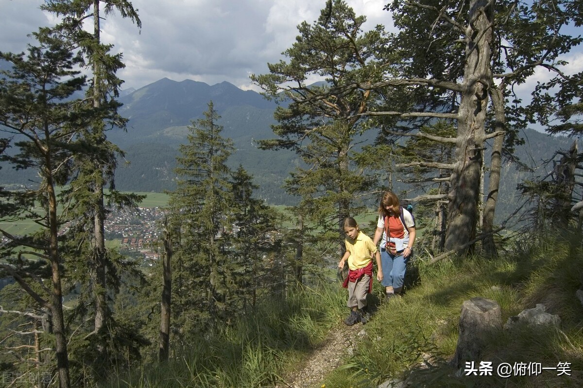 不站上山顶，你永远不会知道山脚下的参天大树看上去只是像棵草