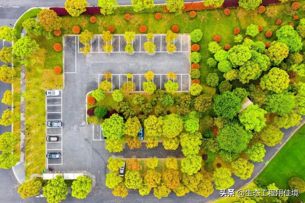 生态停车场是什么样的(6步带你了解生态透水停车场)