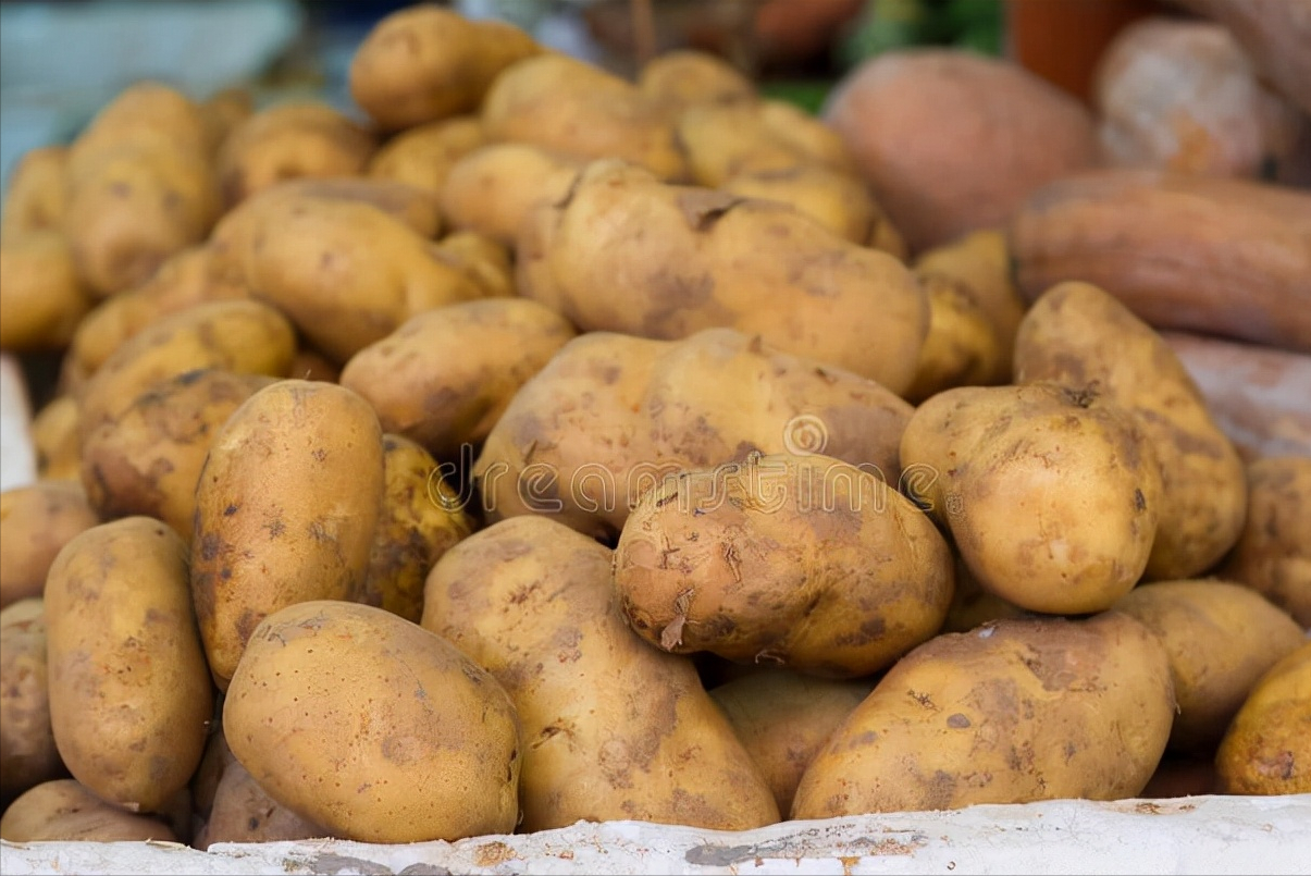 储存土豆有诀窍，分享一个土方法，不变绿不发芽，放一冬天也不坏