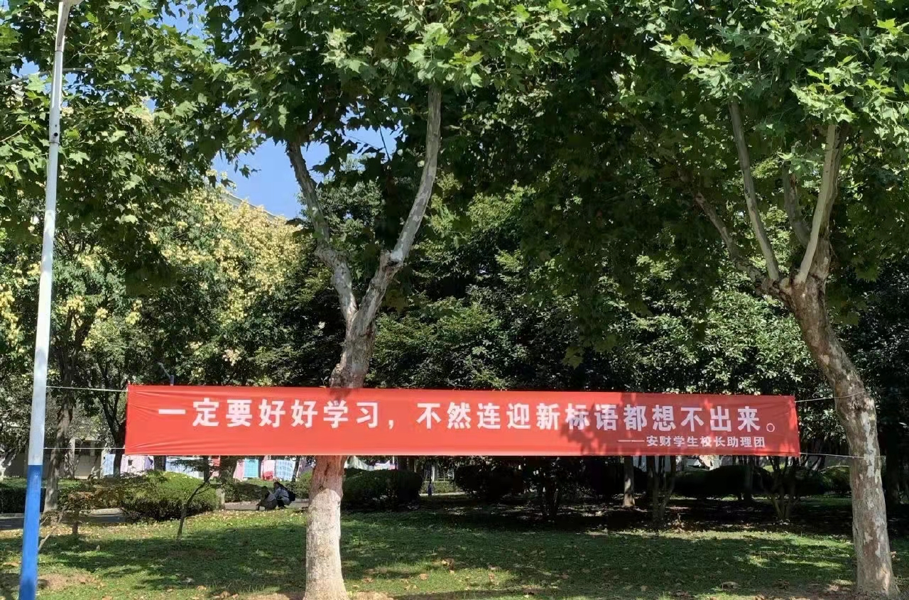 又是一年开学季,安徽财经大学迎新标语走红,网友笑出"鹅叫"