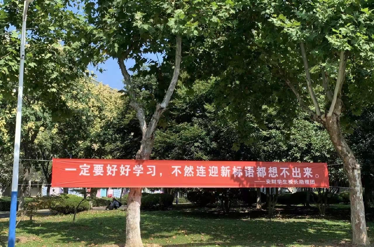 又是一年开学季，安徽财经大学迎新标语走红，网友笑出“鹅叫”